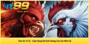 Trận Gà 15 Tỷ - Cuộc Đụng Độ Kinh Hoàng Của Các Nhà Cái