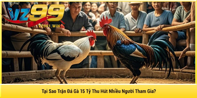 Tại Sao Trận Đá Gà 15 Tỷ Thu Hút Nhiều Người Tham Gia?