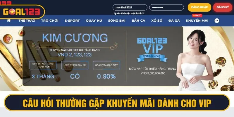 Giải đáp câu hỏi thường gặp dành cho thành viên VIP