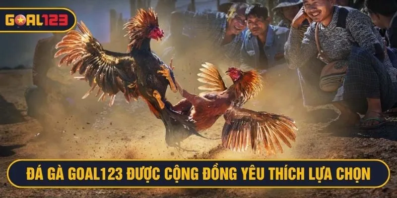 Đá gà tại Goal123 được cộng đồng người chơi yêu thích lựa chọn