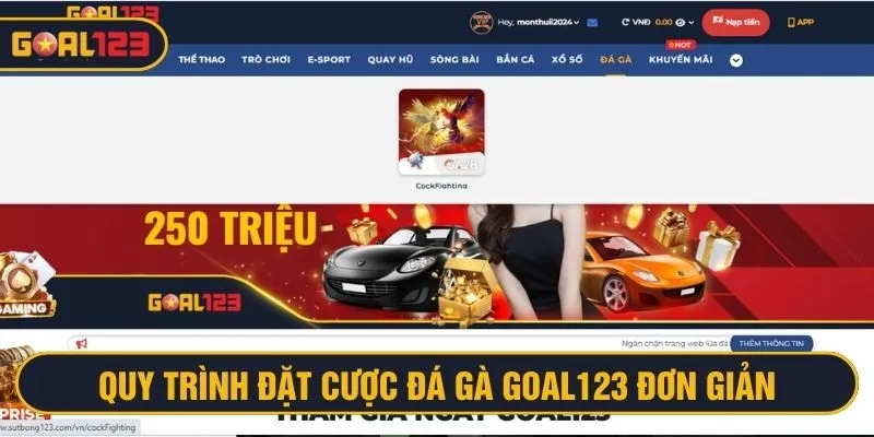 Truy cập và đặt cược đá gà Goal123 kiếm lời ngay